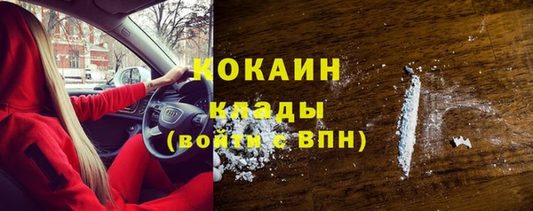 винт Сосновый Бор