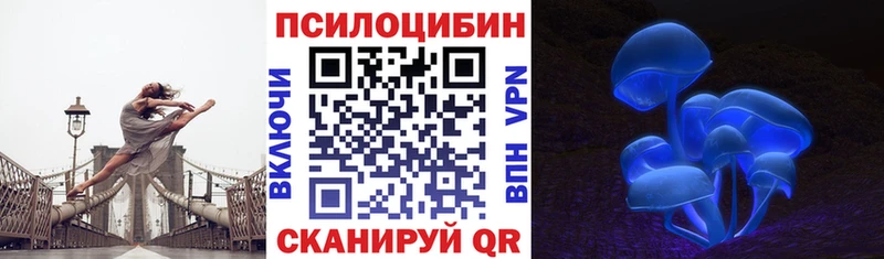 Галлюциногенные грибы Psilocybe Туймазы