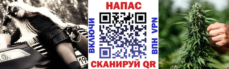 сколько стоит Туймазы Шишки марихуана Bruce Banner
